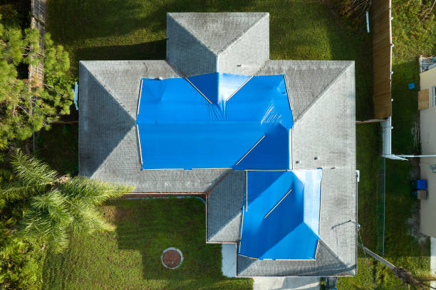 Best Roof Moss and Algae Removal  in Sturgis, KY
